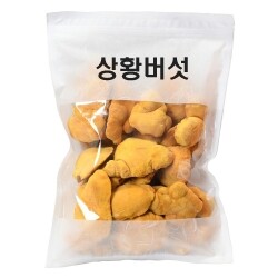 국산 장수 상황버섯 150g